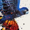 Abstract Red Tailed Black Cockatoo Paint By Number