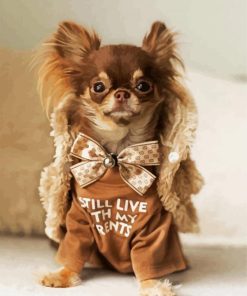Adorable Chihuahua Paint By Number
