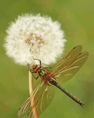 Aesthetic Dragonfly And Dandelion Paint By Number