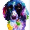 Colorful English Cocker Spaniel Paint By Numbers