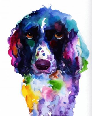 Colorful English Cocker Spaniel Paint By Numbers