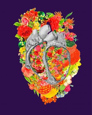 Anatomy Floral Heart Paint By Numbers