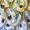 Seafood Oysters Paint By Numbers