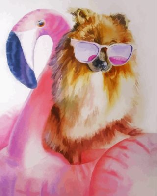 Stylish Pomeranian Paint By Number