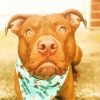 Brown Pitbull paint by numbers