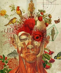 Anatomy Art Paint By Numbers