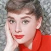 Audrey Hepburn Actress Paint By Number