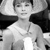 Audrey Hepburn Black And White Paint By Number