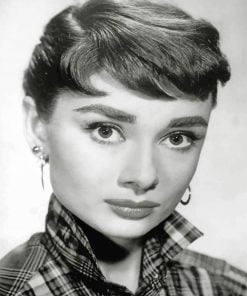 Monochrome Audrey Hepburn Paint By Number