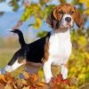 Beagle Dog Fall Leaves Paint By Number