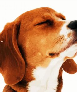 Beagle Dog Head Paint By Number