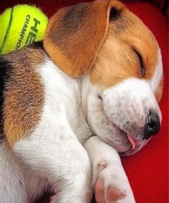 Beagle Puppy Sleeping Paint By Number