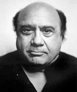 Black And White Danny Devito Paint By Numbers