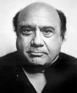 Black And White Danny Devito Paint By Numbers