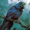 Black Raven bird Paint By Numbers