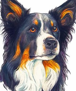 Border Terrier Paint By Number