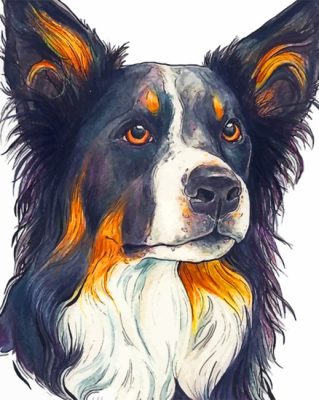 Border Terrier Paint By Number