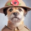 Border Terrier Soldier Paint By Number