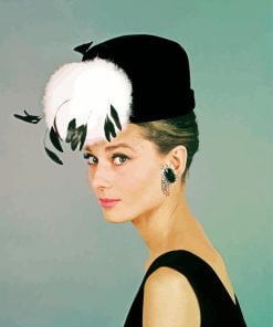 Audrey Hepburn Breakfast At Tiffanys Paint By Number