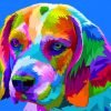Colorful Beagle Paint By Number