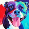 Colorful Pitbull Dog paint by numbers