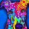 Colorful Greyhound Paint By Numbers