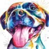 Colorful Pitbull paint by numbers