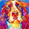 Abstract Springer Spaniel Paint By Number