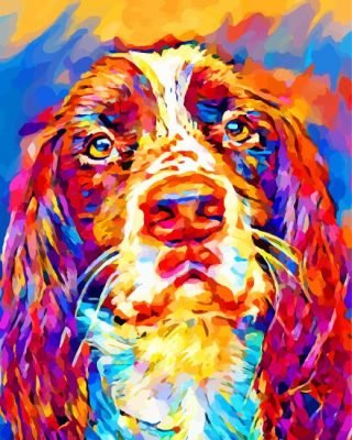Abstract Springer Spaniel Paint By Number