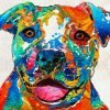 Colorful Staffy Dog Paint By Number