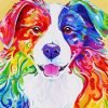 Colorful Border Collie Art Paint By Numbers