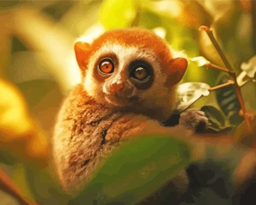 Cute Lorisidae Paint By Number