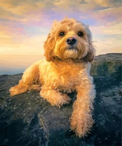 Cute Cockapoo Puppy Paint By Number