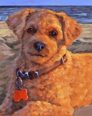 Cute Cockapoo Paint By Number