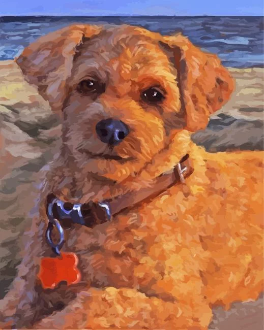 Cute Cockapoo Paint By Number