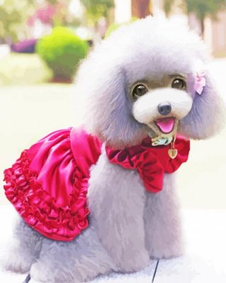 Cute Poodle Paint By Number