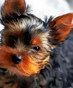 Cute Little Yorkshire Terrier Paint By Number