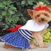 Cute Puppy In Dress Paint By Number