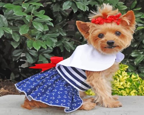 Cute Puppy In Dress Paint By Number