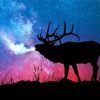 North American Elk Silhouette Paint By Number