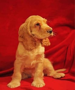 Cocker Spaniel Puppy Paint By Numbers