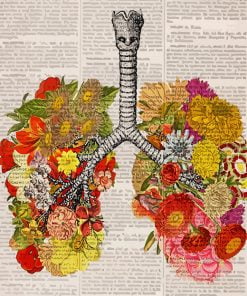 Floral Anatomical Lungs Paint By Numbers