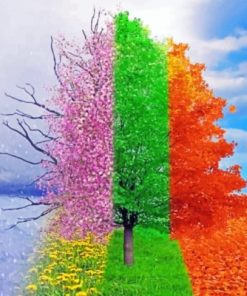 Four Seasons Tree Paint By numbers