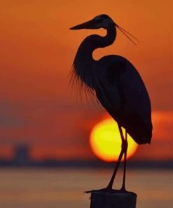Great Blue Heron Paint By Number