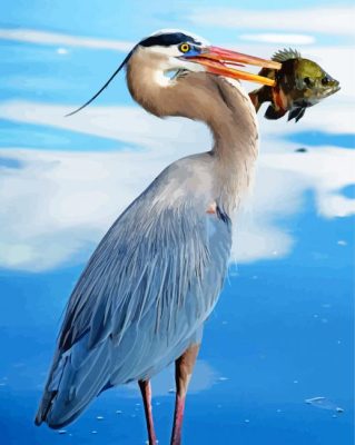 Great Blue Heron And A Fish Paint By Number