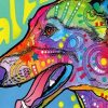 Greyhound Dog Paint By Number