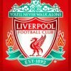 Liverpoool FC Crest Football Paint By Numbers