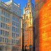 Liver Building Paint By Numbers
