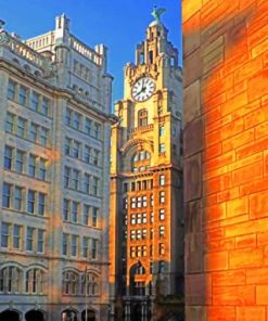 Liver Building Paint By Numbers