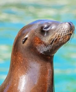 Lovely Otter Paint By Numbers